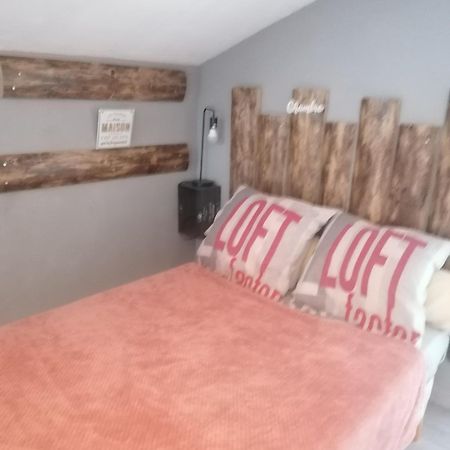 Chambre 23M2 Avec Jardin Wi-Fi Gratuit Saint-Girons Apartment Exterior foto