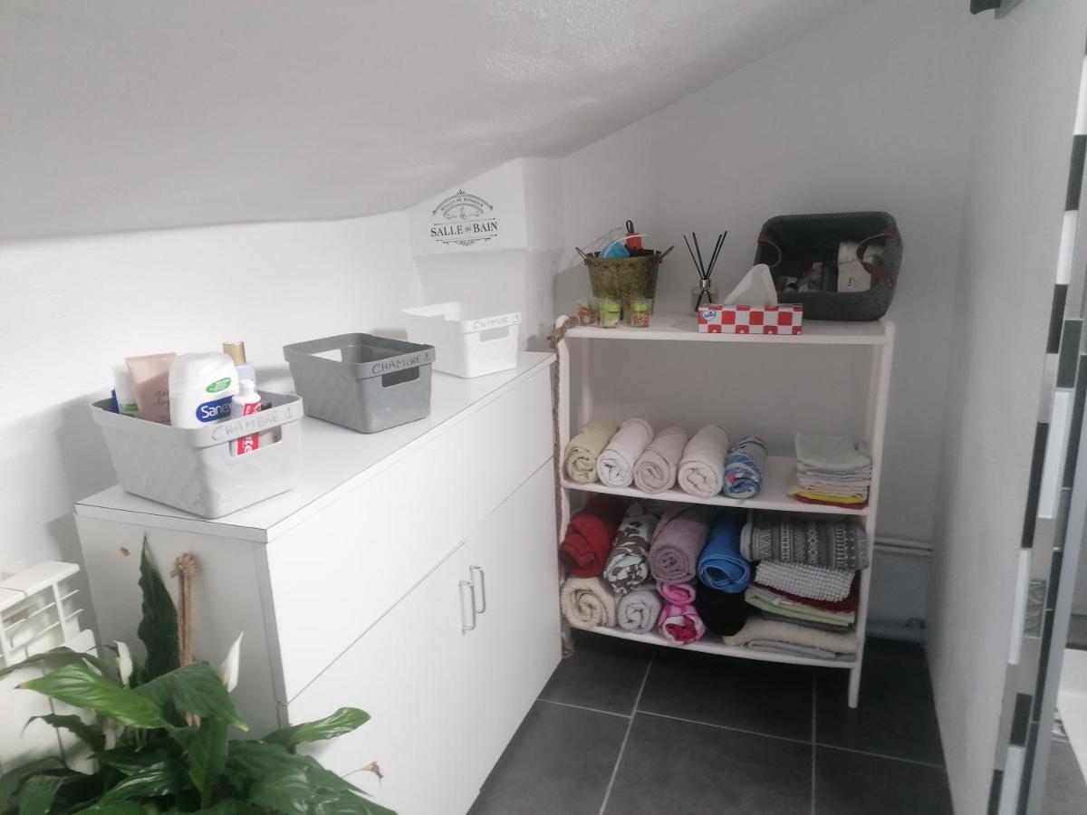 Chambre 23M2 Avec Jardin Wi-Fi Gratuit Saint-Girons Apartment Exterior foto