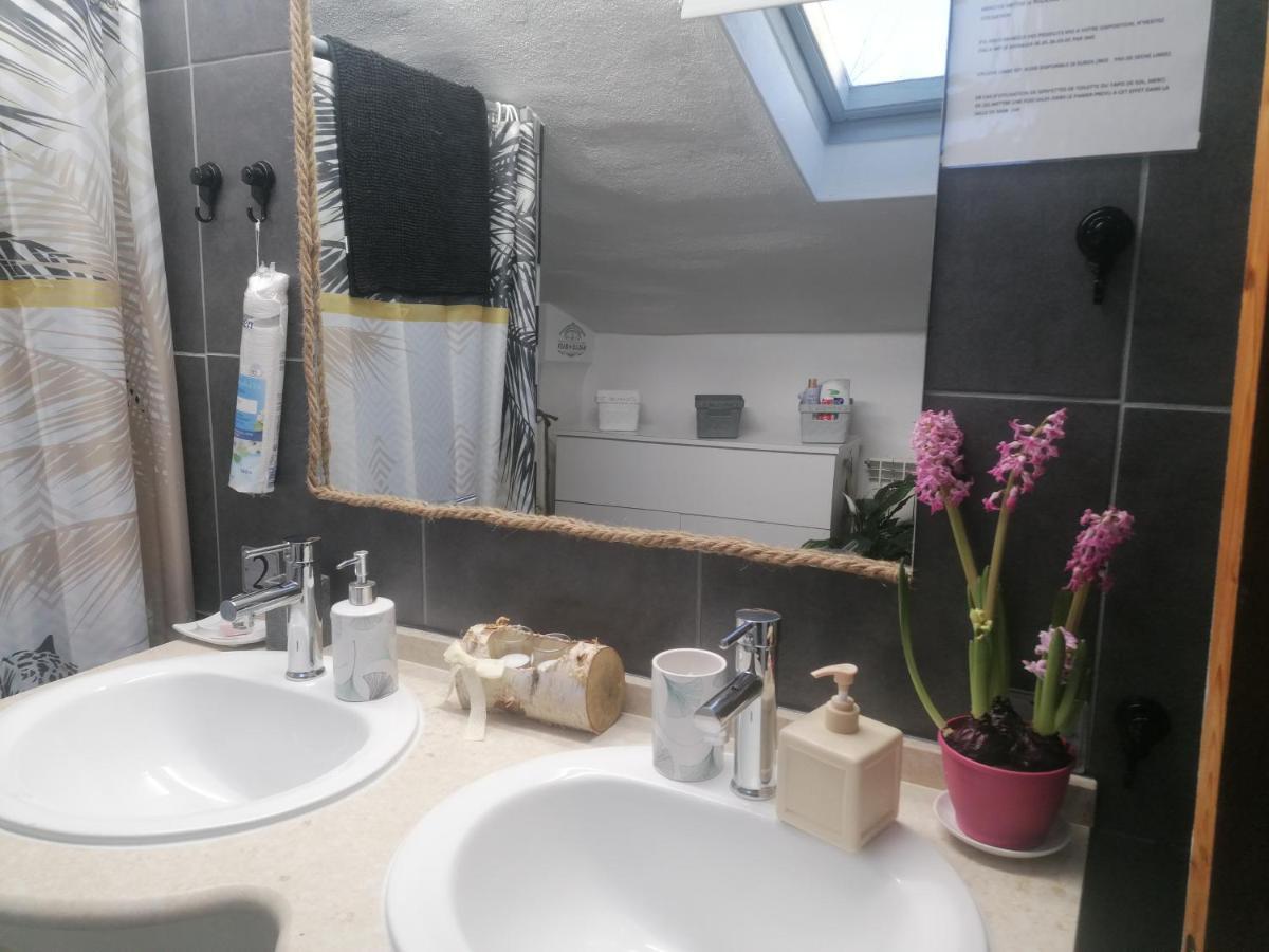 Chambre 23M2 Avec Jardin Wi-Fi Gratuit Saint-Girons Apartment Exterior foto