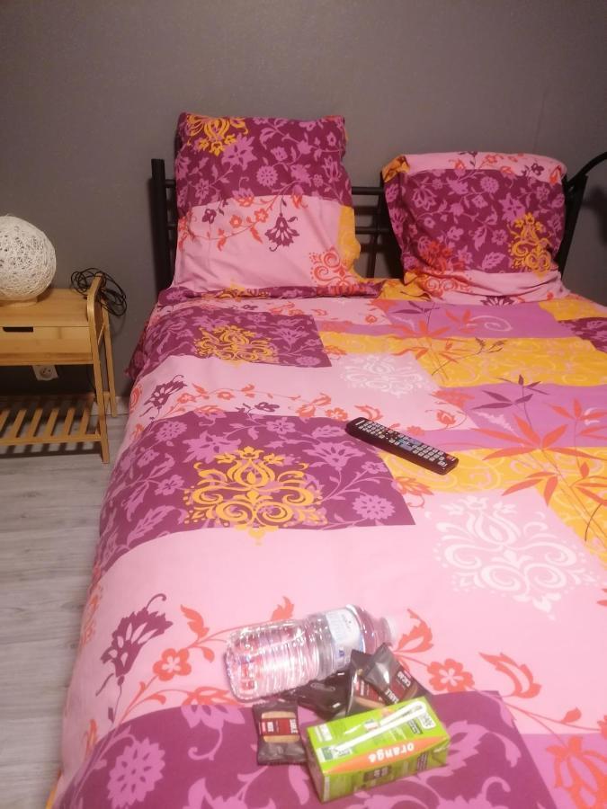 Chambre 23M2 Avec Jardin Wi-Fi Gratuit Saint-Girons Apartment Exterior foto
