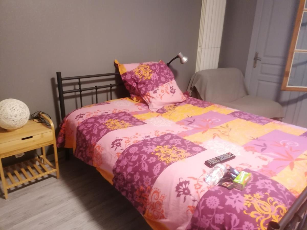 Chambre 23M2 Avec Jardin Wi-Fi Gratuit Saint-Girons Apartment Exterior foto